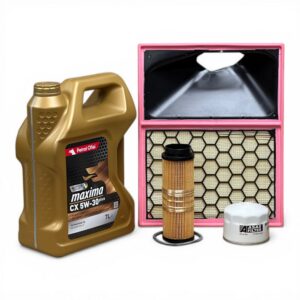 Iveco Daily 2.3 Euro 6 F1A - Filtre Bakım Seti + Yağ - Görsel 3