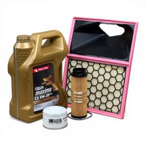 Iveco Daily 2.3 Euro 6 F1A - Filtre Bakım Seti + Yağ - Görsel 4