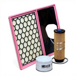 Iveco Daily 2.3 Euro 6 F1A - Filtre Bakım Seti - Görsel 3