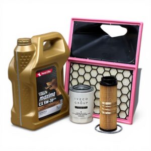 Iveco Daily 3.0 Euro 6 F1C - Filtre Bakım Seti + Yağ - Görsel 4