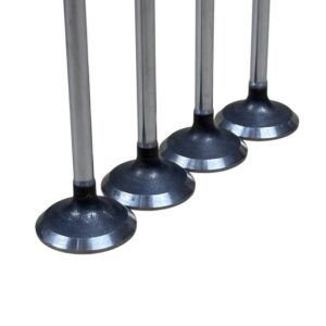 Iveco Daily + Fiat Ducato 2.3 F1A Emme Subapları Takım - Oem No: 504069199 - Görsel 3