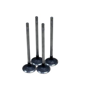 Fiat Ducato 3.0 F1C 859 E5 35C15/70C15 Emme Subapları Takım - Oem No: 504072531