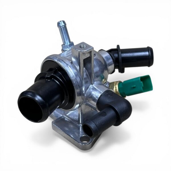 turnalar-55224022-y-3