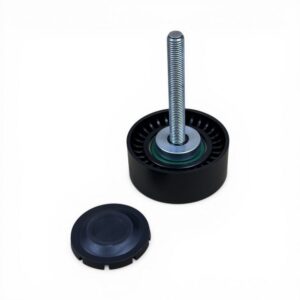 Fiat Linea, Fiorino, Doblo (Euro 5) 1.3 Multijet  Alternatör Gergi Rulmanı - Oem No: 55275618