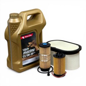 Mitsubishi Fuso Euro 5 Kısa Filtre - Filtre Bakım Seti + Yağ