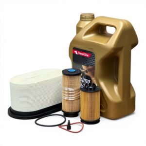 Mitsubishi Fuso Euro 5 Kısa Filtre - Filtre Bakım Seti + Yağ - Görsel 4